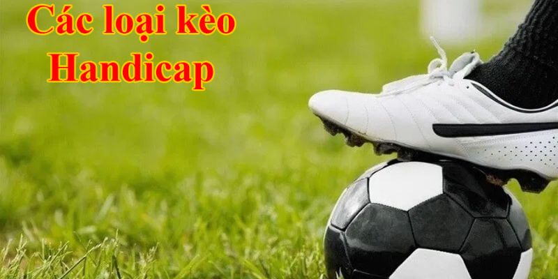 Loại kèo Handicap phổ biến